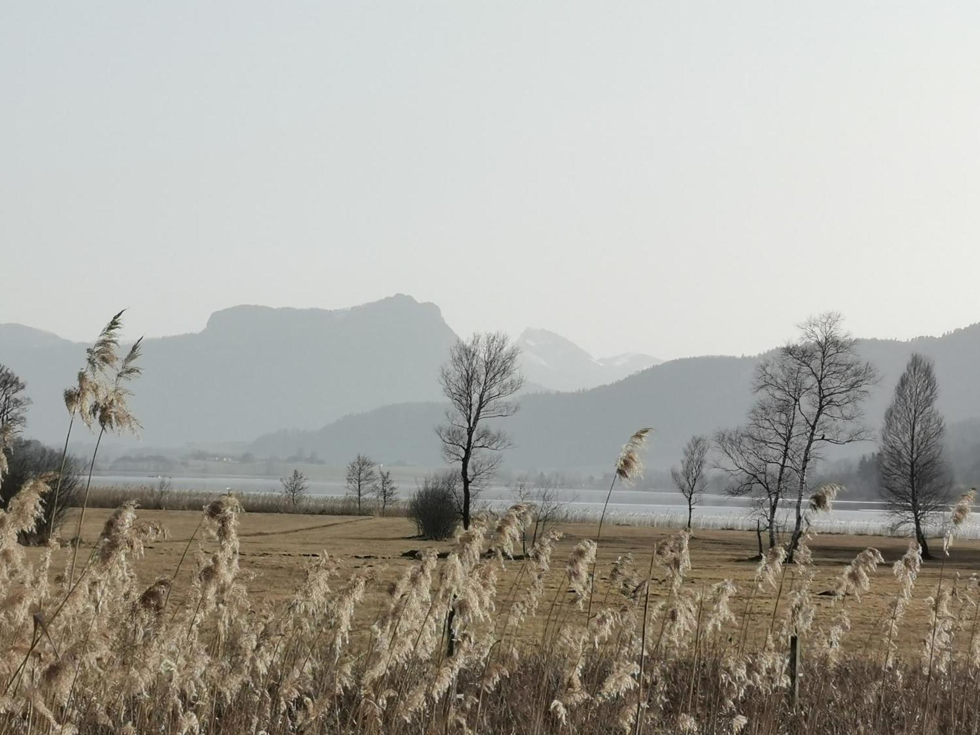 Sunnhof Villa Oberhofen am Irrsee Eksteriør billede
